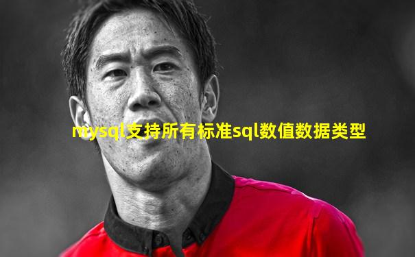 mysql支持所有标准sql数值数据类型