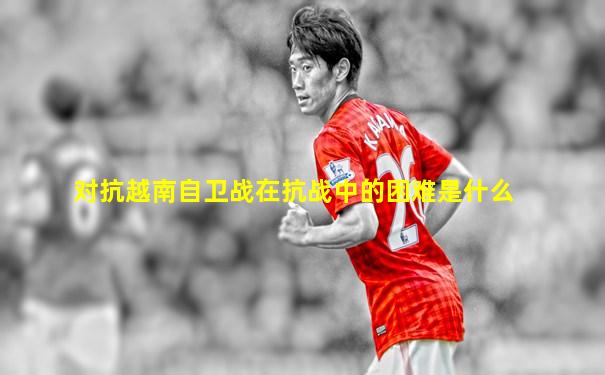 对抗越南自卫战在抗战中的困难是什么