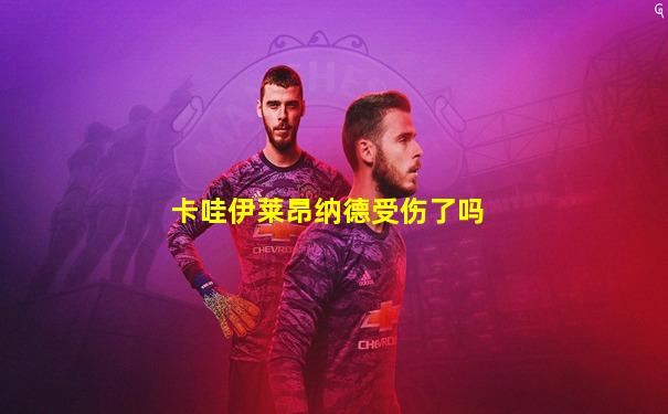 卡哇伊莱昂纳德受伤了吗