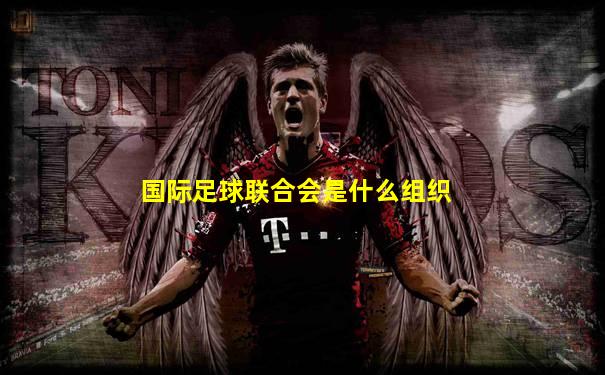 国际足球联合会是什么组织