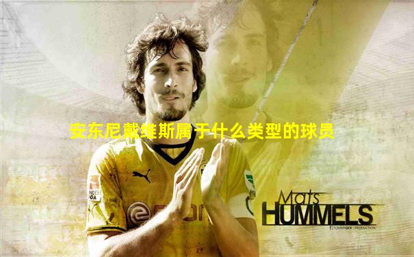 安东尼戴维斯属于什么类型的球员
