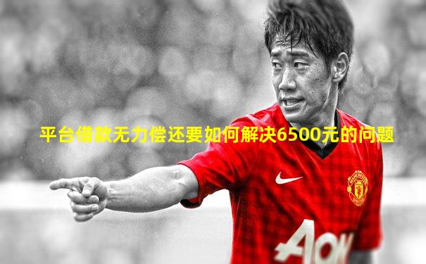 平台借款无力偿还要如何解决6500元的问题