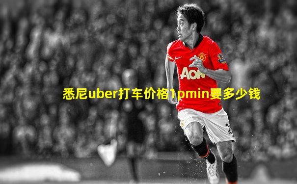 悉尼uber打车价格1pmin要多少钱
