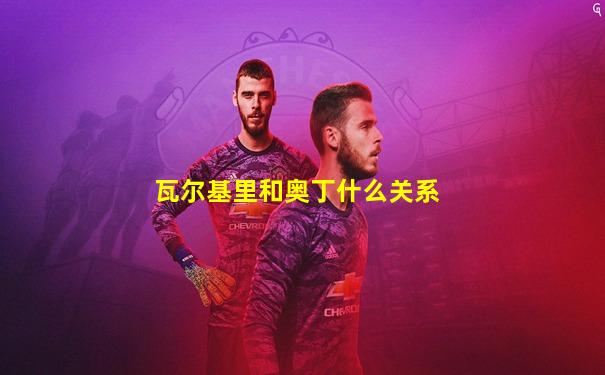 瓦尔基里和奥丁什么关系
