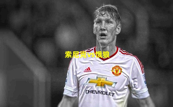 索尼克vs饿狼