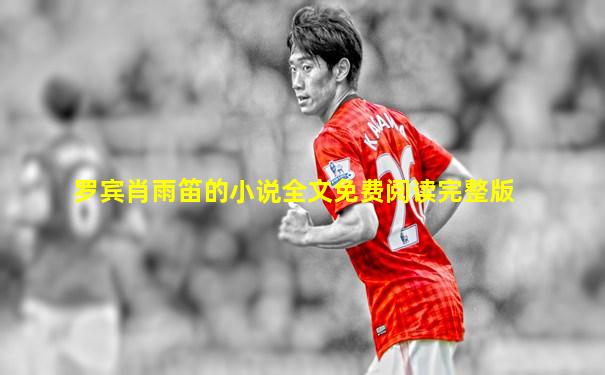 罗宾肖雨笛的小说全文免费阅读完整版