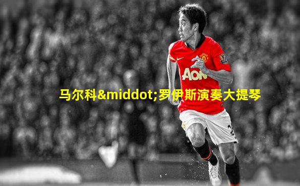 马尔科·罗伊斯演奏大提琴