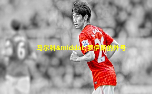 马尔科·罗伊斯的外号